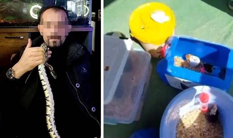 Evinde 2 kraliyet pitonu ele geçirildi: 25 bin TL ceza kesildi