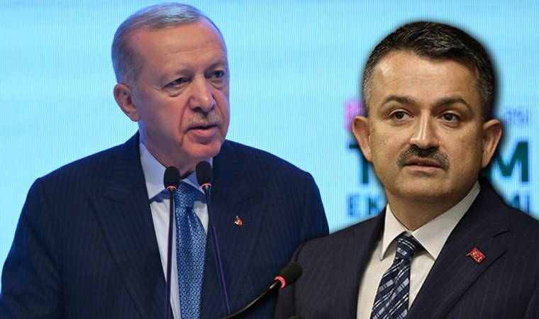 Konu: Saman ithalatı... Erdoğan, Bakan'ını unuttu! 'Paramız var ki yapıyoruz' demişti...