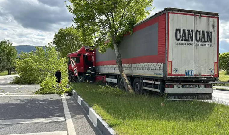 Sürücüsü direksiyon başında uyuklayan TIR, ağaca çarparak durabildi