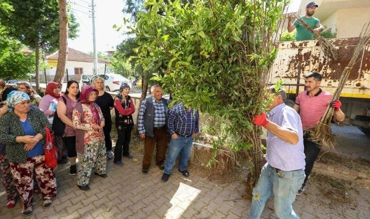 Buca Belediyesi’nden üreticiye fidan desteği