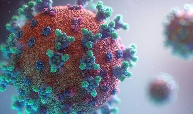 Kovid-19'un DNA dizilimini açıklamıştı: Hakkında karar verildi!
