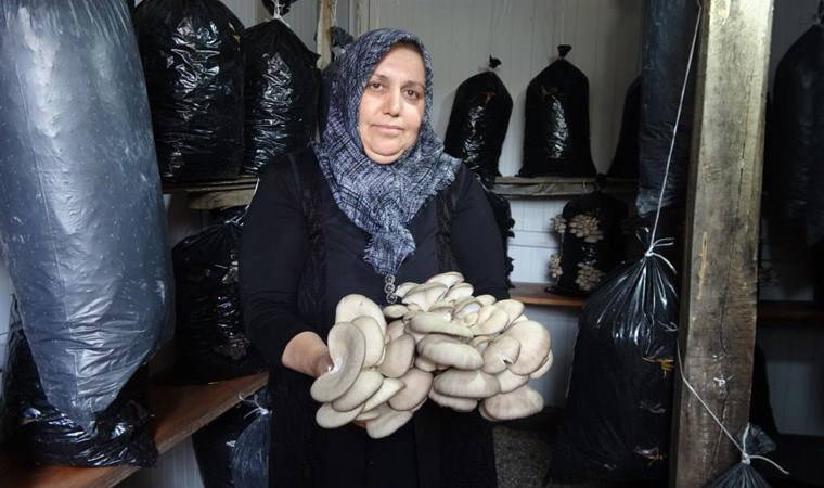 5 metrekare alanda üretime başladı! 150 kilo ürün alacak...