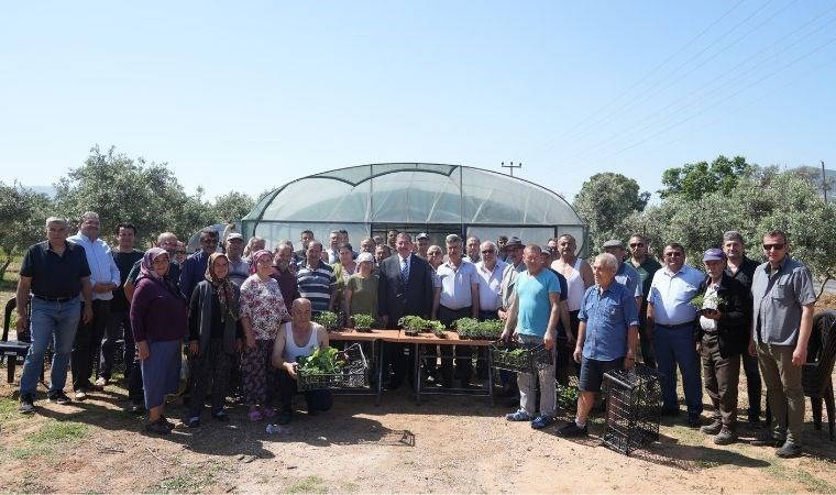 Milas Belediyesi’nden üreticilere fide desteği