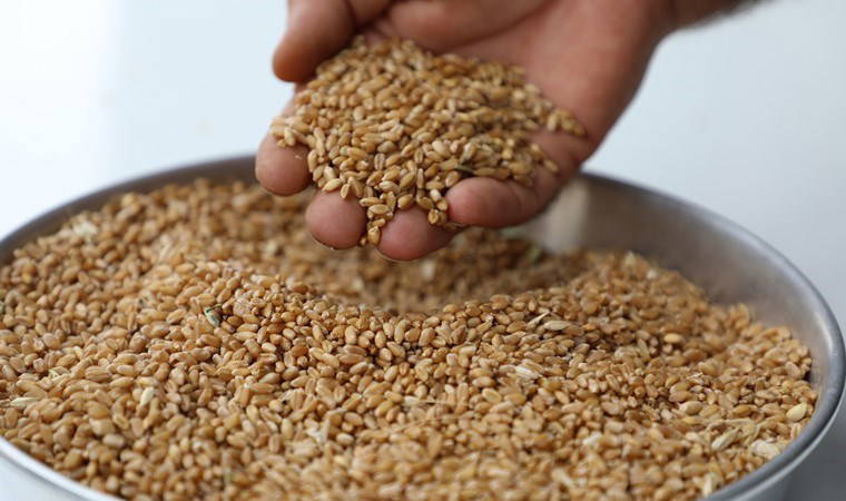 Yumurtalık'ta hasat edildi, Gaziantep'te satıldı! Kilosu 10 TL