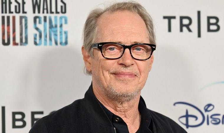 Kefalet bedeli 50 bin dolar: Steve Buscemi'ye yumruk atan saldırgan tutuklandı