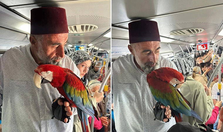 Metrobüse papağanıyla bindi