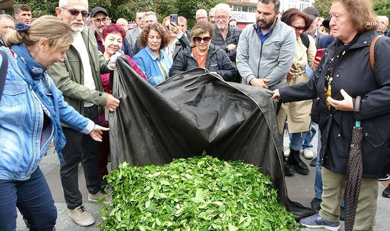 Rize'de çiftçi ve esnaftan 19 lira açıklanan çay fiyatını tepki: Protesto edilecek