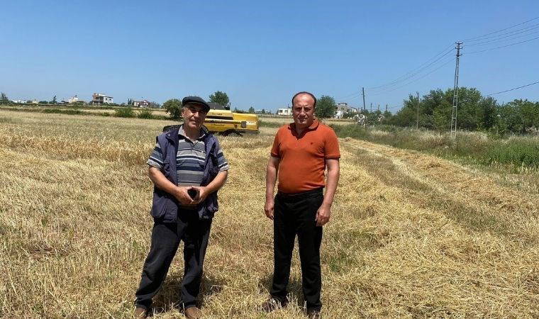 Osmaniye'de yüz güldüren hasat başladı: 9 liraya satılıyor