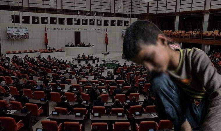 Meclis'te 'doğurganlık oranının' azalması tartışıldı: 'Bir milyon çocuk işçi yokmuş gibi...'