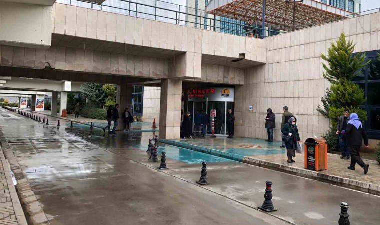 Bal arısının soktuğu şahıs komaya girdi