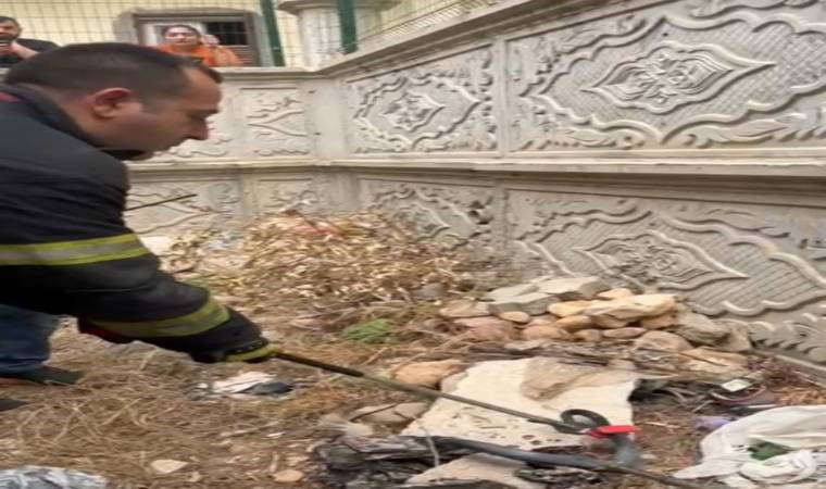 Site bahçesine giren yılan yakalandı