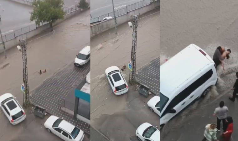 Sele kapılan çocuklar araçların altına sıkıştı