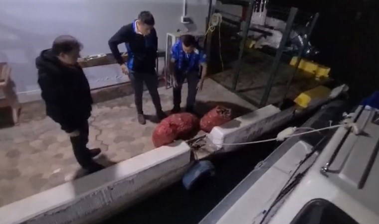 Yasadışı salyangoz avlayanlara ceza yağdı!