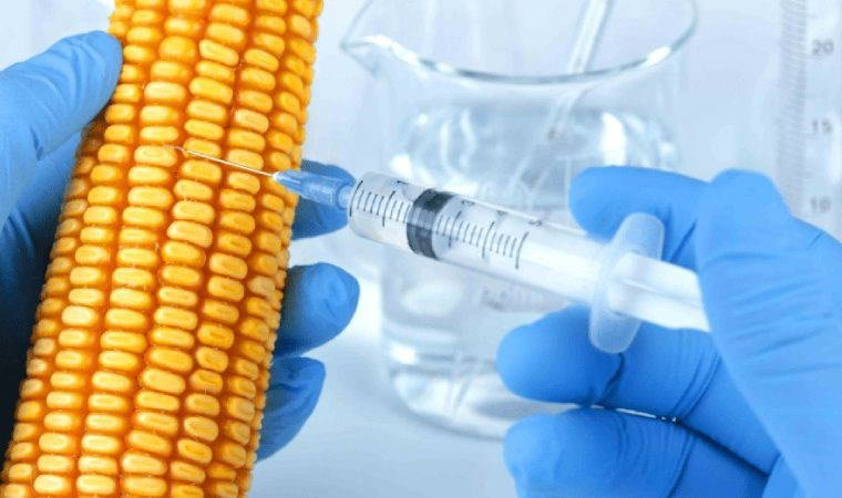 Bu yüzden Hindistanlaştık, Pakistanlaştık