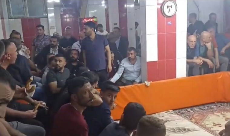 Horoz Koruma Derneğine ‘horoz dövüşü’ operasyonu: 7 gözaltı