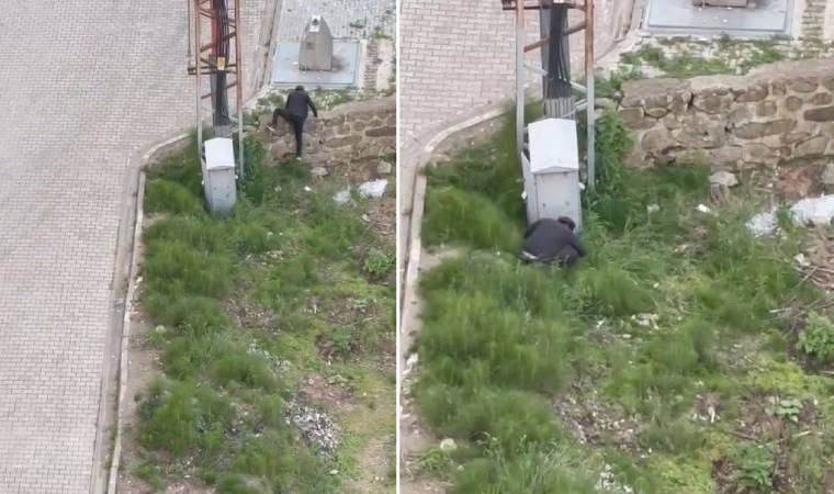 Trabzon'da hayvan cinayeti: Tekmelediği kediyi öldürüp, fırlattı!