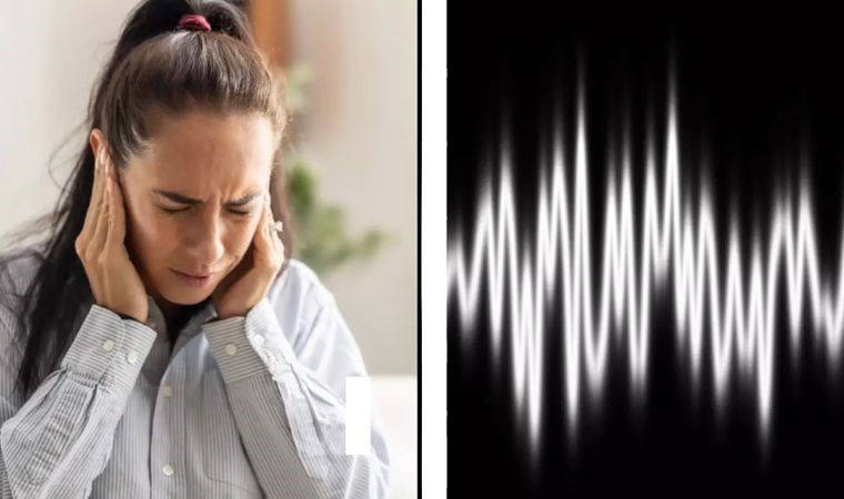 Dünyanın en yüksek sesi: Duyarsanız sizi öldürür