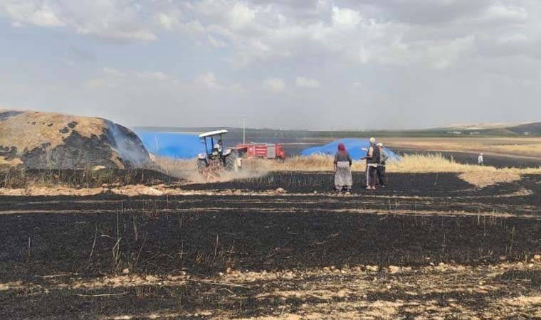 Hasat yaparken yangın çıktı: 200 dönüm arsa kül oldu