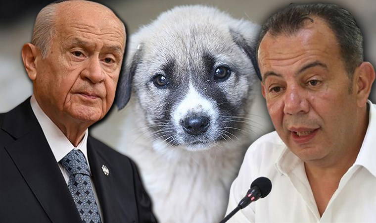 'Kaç saat uyutacaklar belirsiz' demişti... 'Sokak hayvanları' açıklaması gündem olan Devlet Bahçeli’ye, Tanju Özcan'dan çağrı
