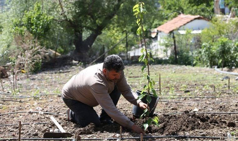 Başkan Eşki: Tarlada ürün bırakmayacağız