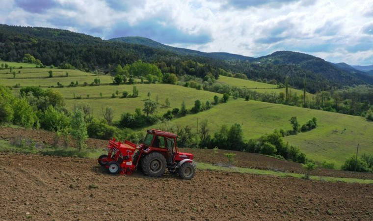 Gluten hassasiyeti olanlar için ekildi! Alım garantili...