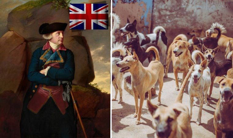 'Köpek etiyle hayatta kaldılar...'