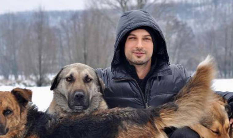 Tarkan belediyelere seslendi: 'Sokak hayvanlarını öldürmek çözüm değil'