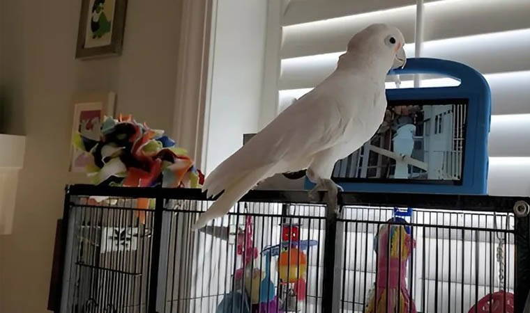 Bilim insanlarından çarpıcı araştırma: