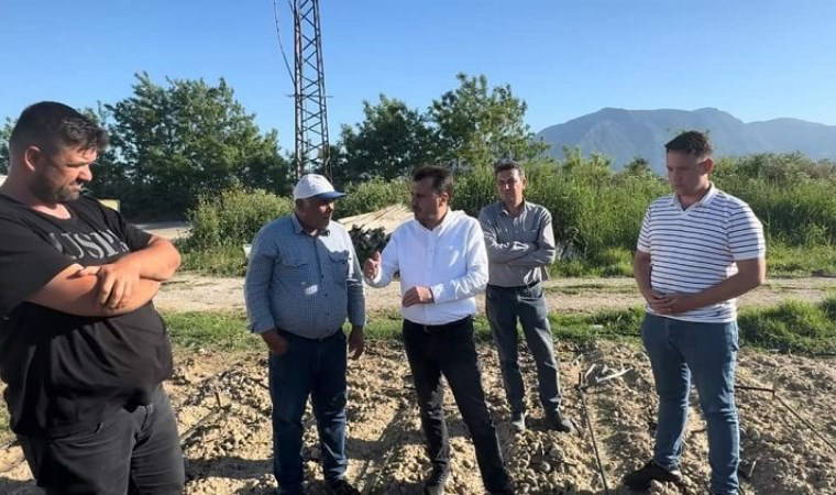 Üzüm üreticisi: Çiftçinin işi Allah’a kaldı
