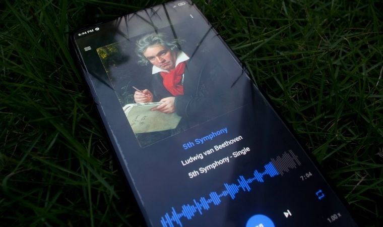 Bilim insanlarına göre Beethoven kurşun zehirlenmesi geçirdi