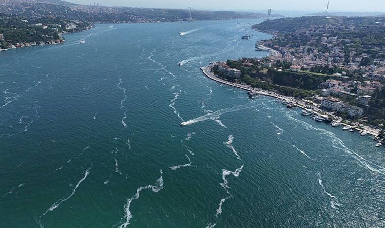 İstanbul'da denizin bazı noktalarında müsilaj yeniden ortaya çıkıyor!