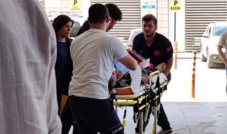 Yetiştirdiği arıların soktuğu bal üreticisi öldü