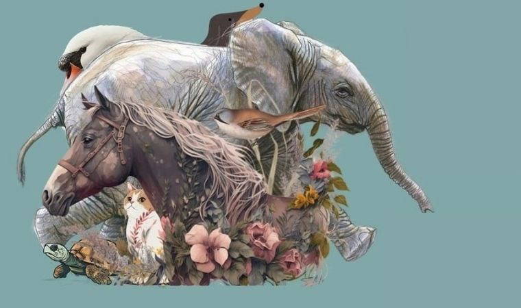 Kurtarılmış hayvanlar çiftliğine müzikli destek