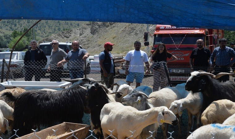 Kurban bayramı yaklaşıyor, yurttaşlar kurban kesemiyor