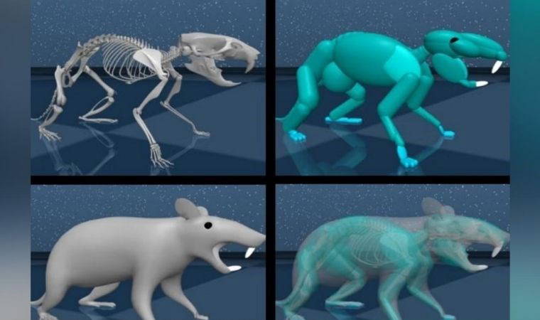 DeepMind, yapay beyne sahip sanal sıçanını tanıttı
