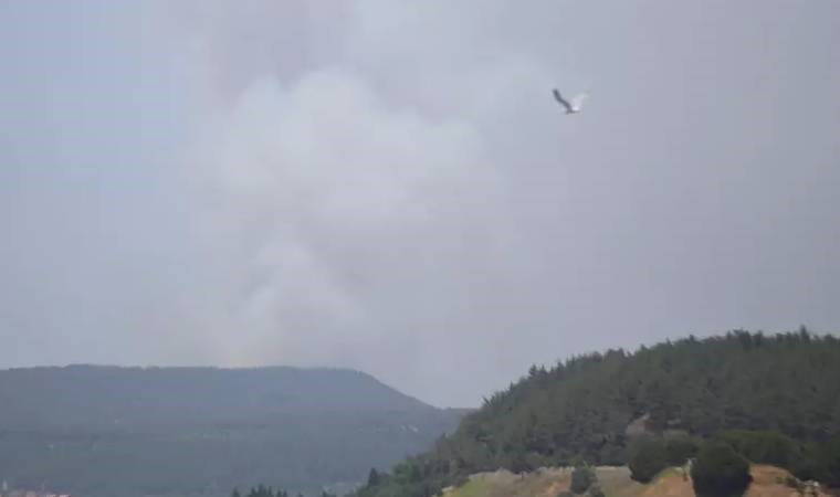 Çanakkale'de orman yangını (12 Haziran 2024)