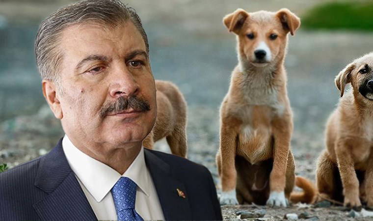 'Gönlüm ötenaziden taraf değil' demişti...