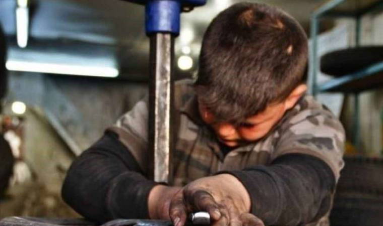 CHP’li Gamze Taşcıer’den Vedat Işıkhan’a: Çocuklar ölüyor Bakan Bey! Çocuklar ucuz işgücü olarak sömürülüyor