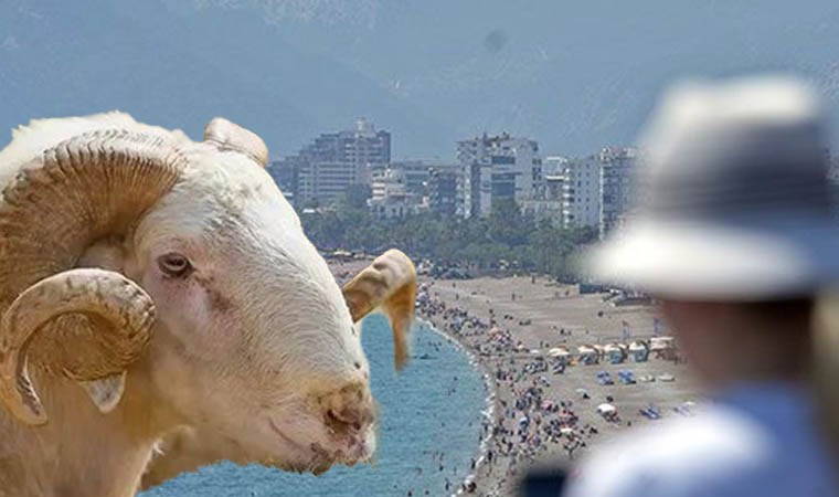 Kurban Bayramı'nda tatil anketi: Yurttaşların çoğu evinde geçirecek!