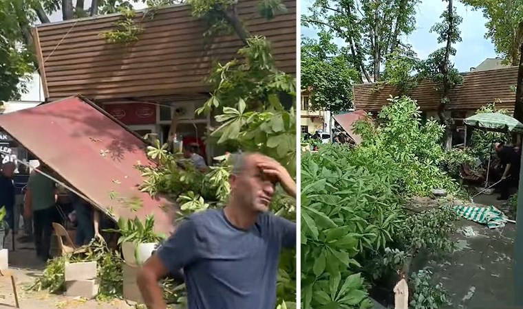 Lodos nedeniyle ikiye bölünen çınar ağacı, tarihi Cafer Paşa Hanı'nın üzerine devrildi!