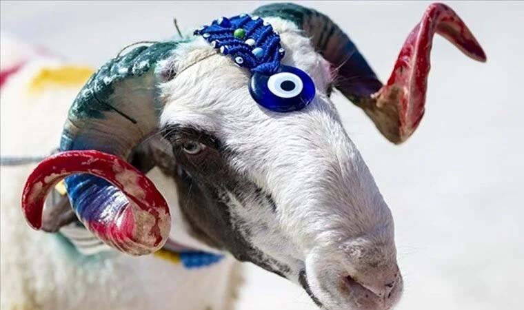 Kurban Bayramı mesajları: Kurban Bayramı için en güzel, yeni, kurumsal bayram tebrik mesajları