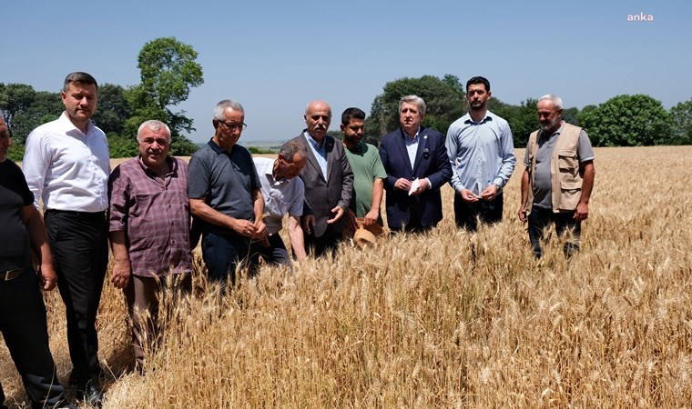 Çiftçi isyan etti: 'Çalışmayanlar bizden daha rahat'