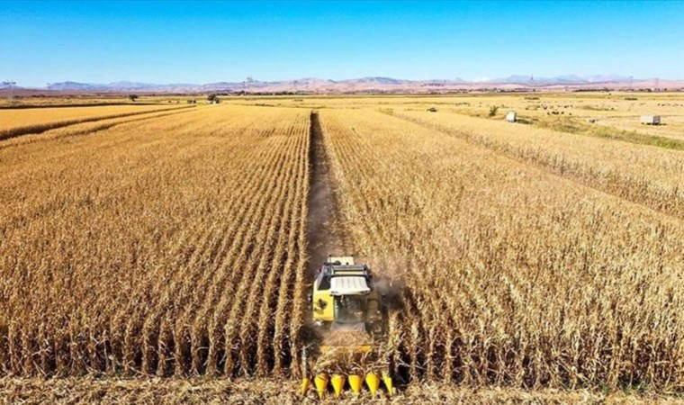 TZOB: Tarım arazileri 23,9 milyon hektara geriledi