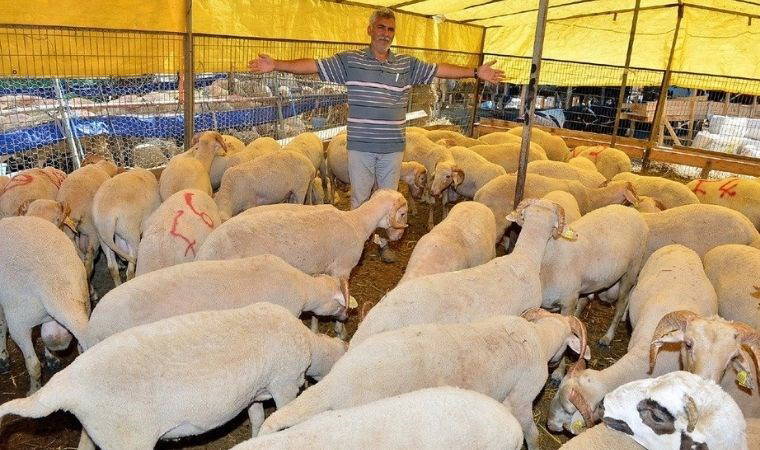 Ekonomik kriz kurbanı da vurdu