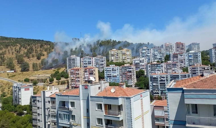 İzmir'de orman yangını: Müdahale sürüyor!