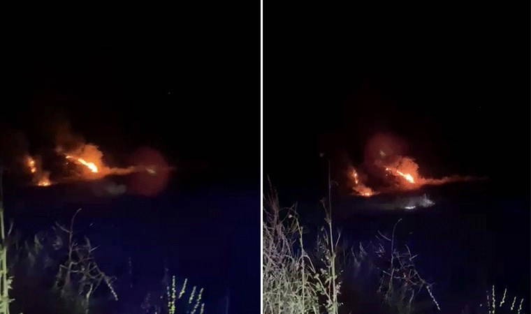 Denizli’de orman yangını! (02 Haziran 2024)