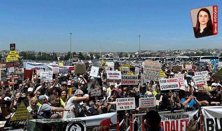 Katliam yasasına karşı sokağa çıktılar: ‘Hapsedemezsin, öldüremezsin’