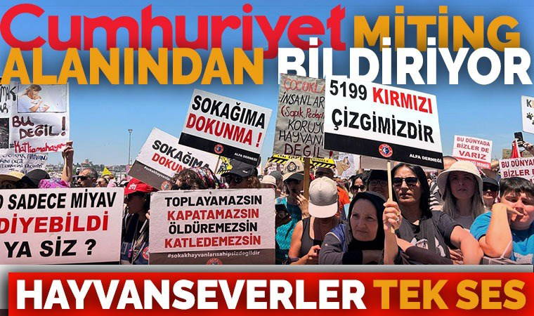 Katliam yasasına karşı sokağa çıktılar: ‘Hapsedemezsin, öldüremezsin’