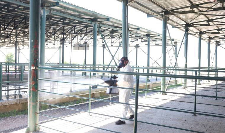 Eskişehir Büyükşehir Belediyesi, hayvan pazarına ilişkin iddiaları yalanladı