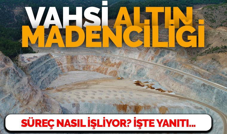 Türkiye’de yaşam savunucularının itirazlarına karşın talan hız kesmiyor